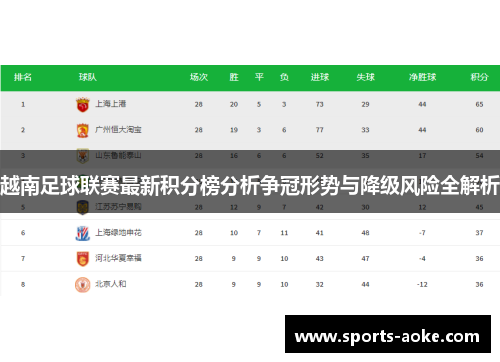 越南足球联赛最新积分榜分析争冠形势与降级风险全解析